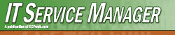 IT Service Manager